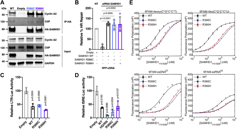 Figure 6