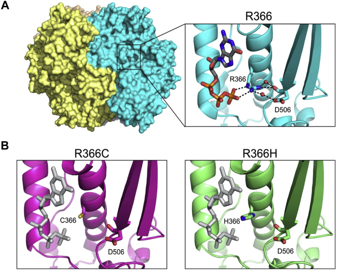 Figure 4