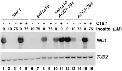 FIG. 5