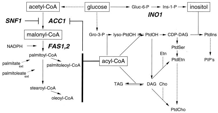 FIG. 8