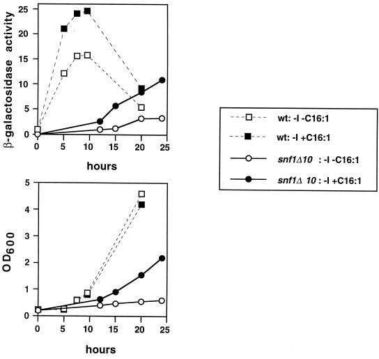 FIG. 6