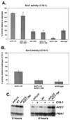 FIG. 7