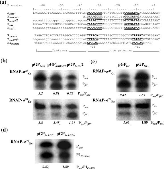 FIG. 6.