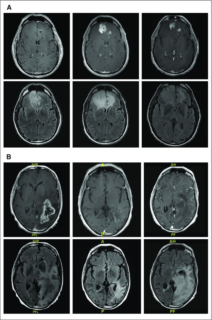 Fig 1.