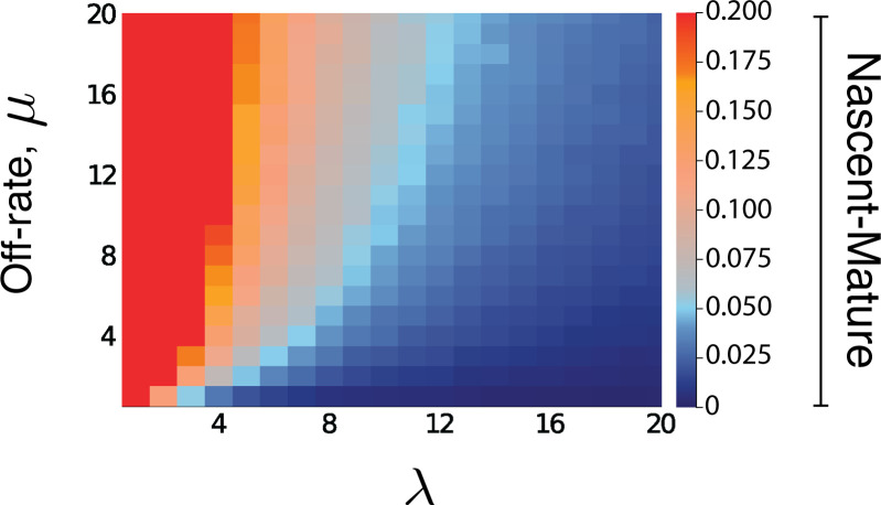 Figure 5—figure supplement 1.