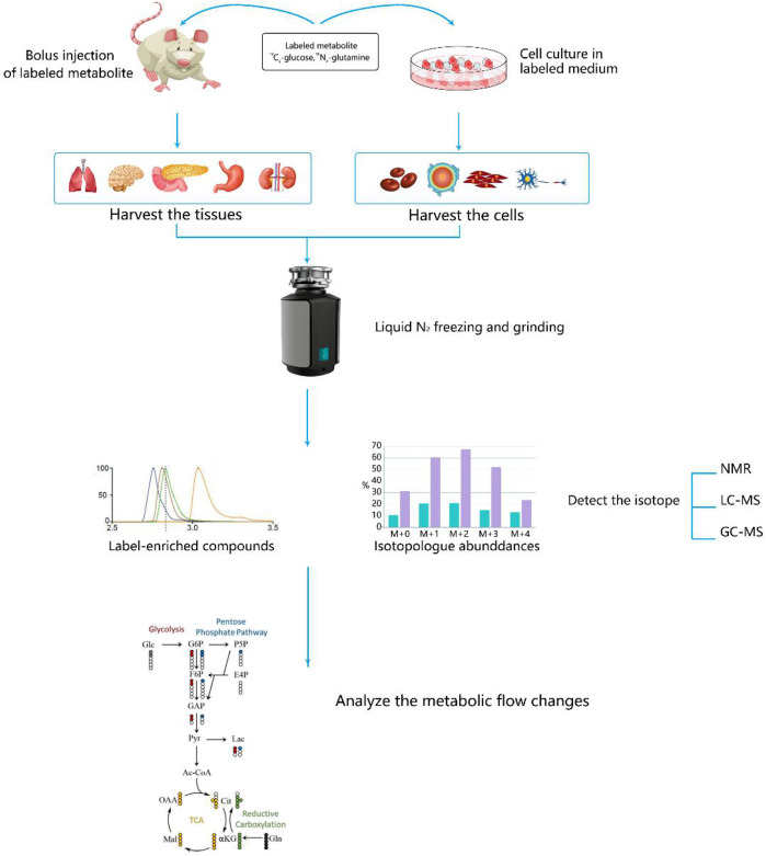 FIGURE 3