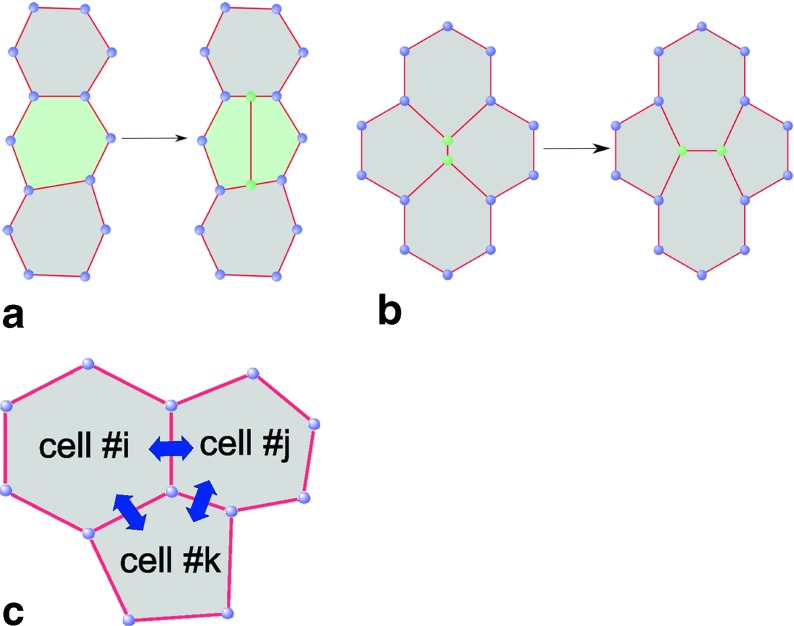 Fig. 2