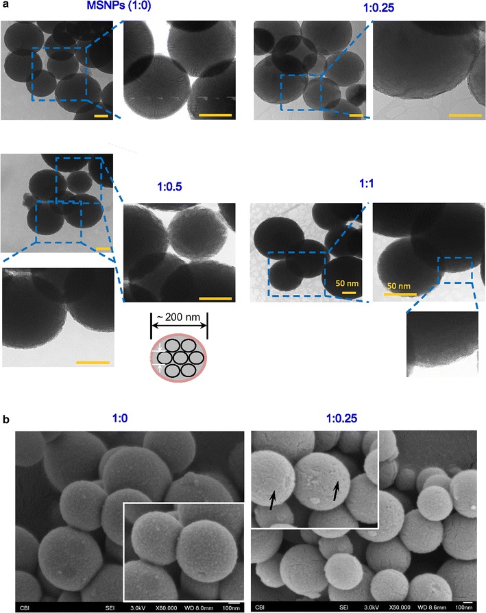 Fig. 2