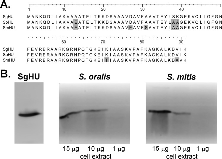 FIG 1