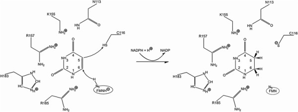 Figure 9