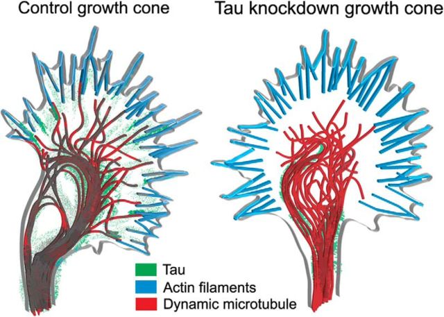 Figure 10.