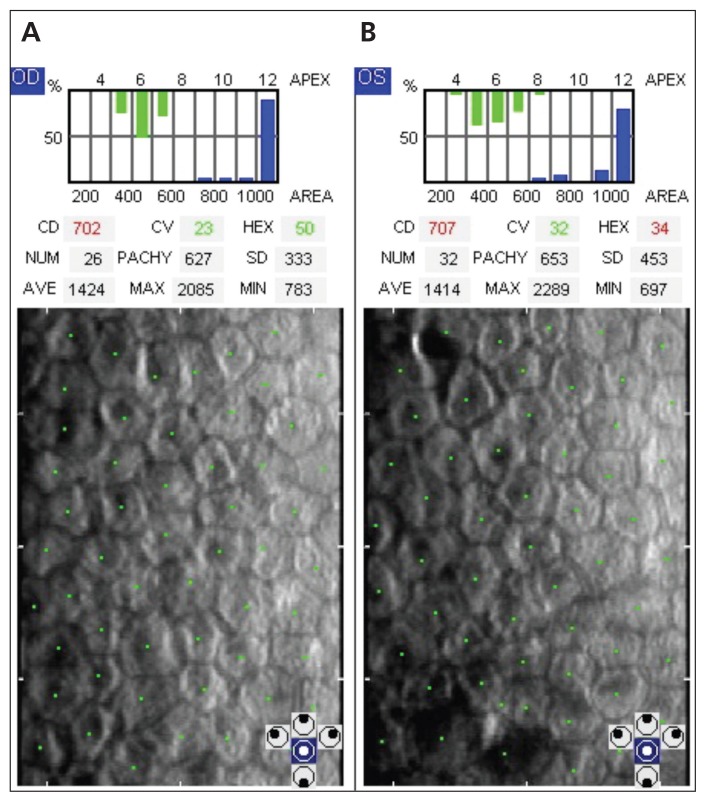 Figure 4: