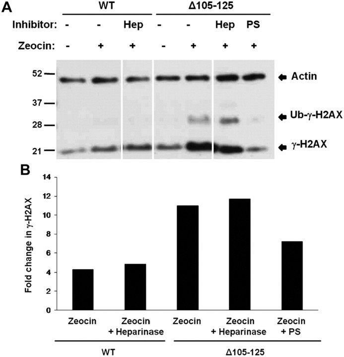 Figure 11.