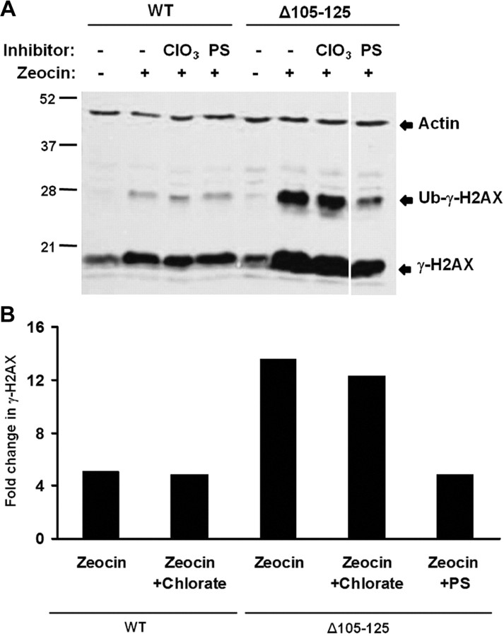 Figure 10.