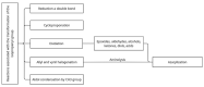 Scheme 4