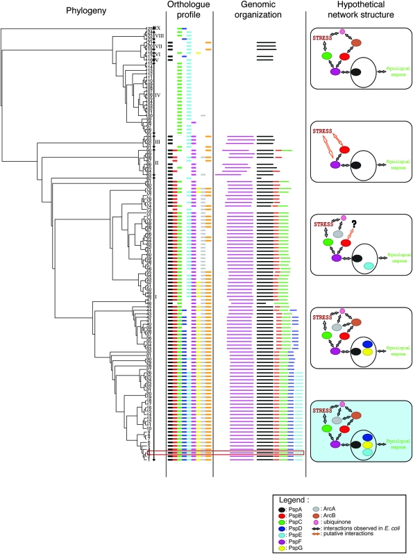 FIG. 3.