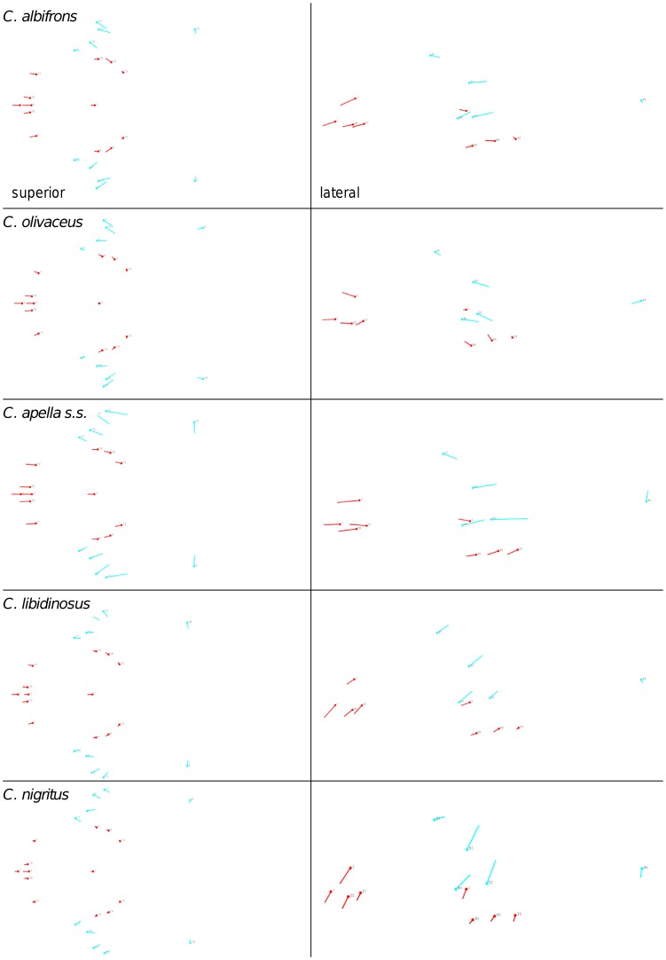 Figure 21