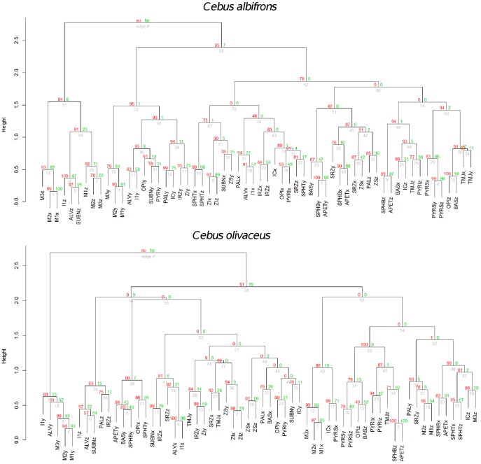 Figure 12