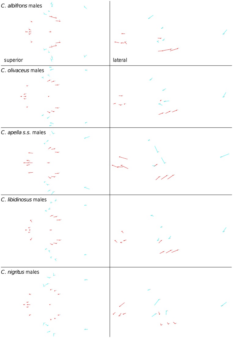 Figure 25