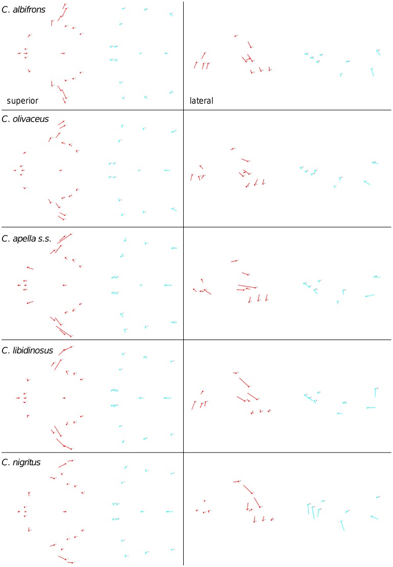 Figure 33