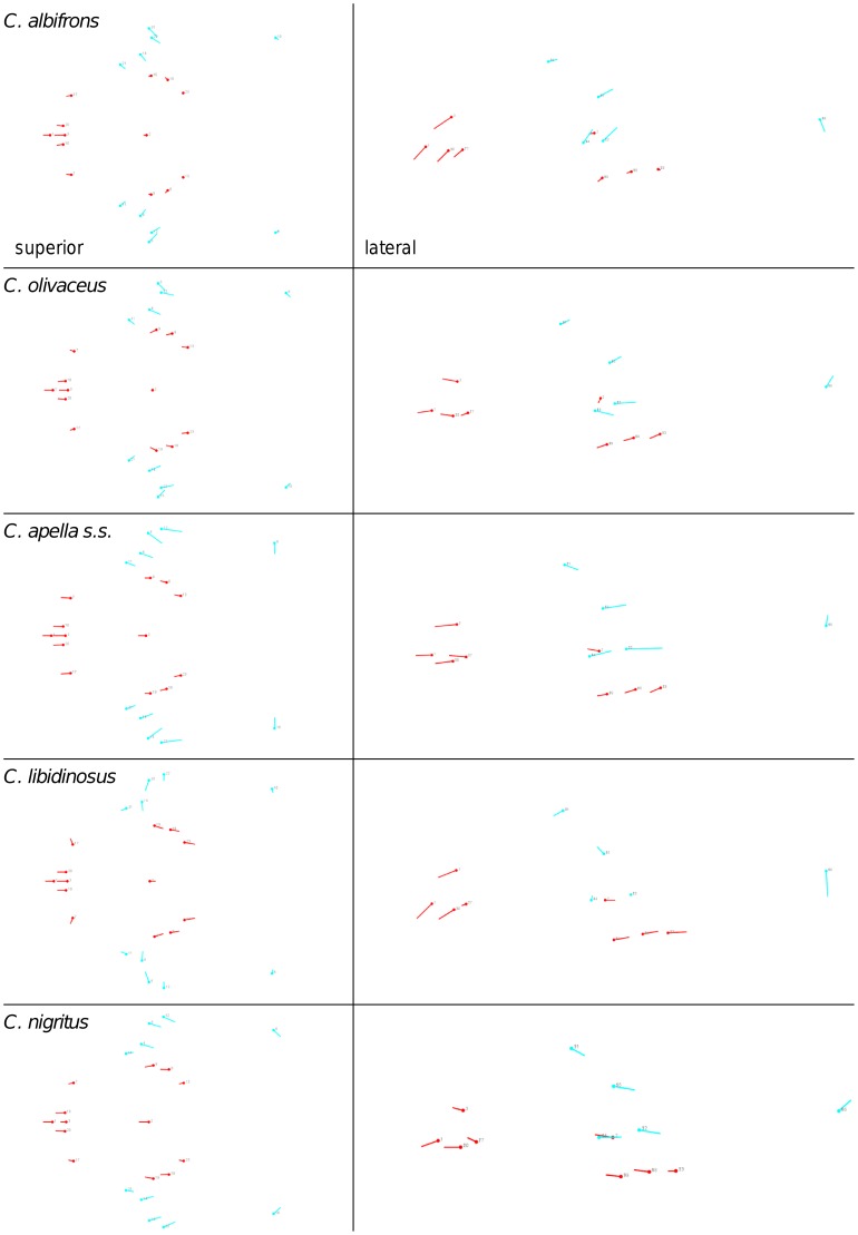 Figure 23