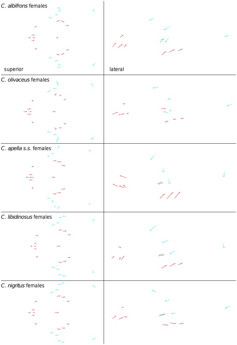 Figure 26