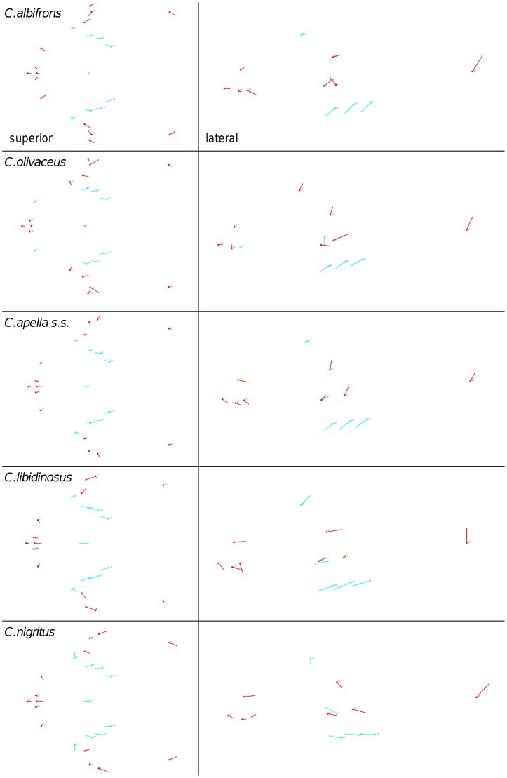 Figure 24