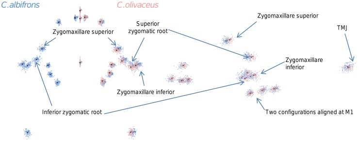 Figure 36