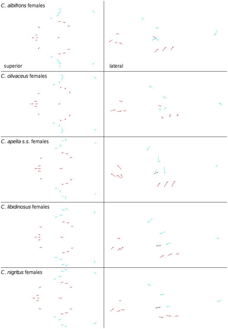 Figure 28