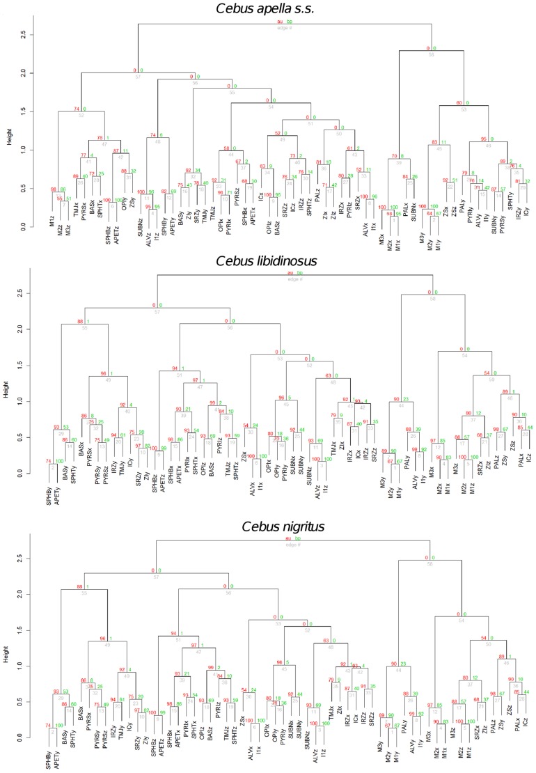 Figure 13