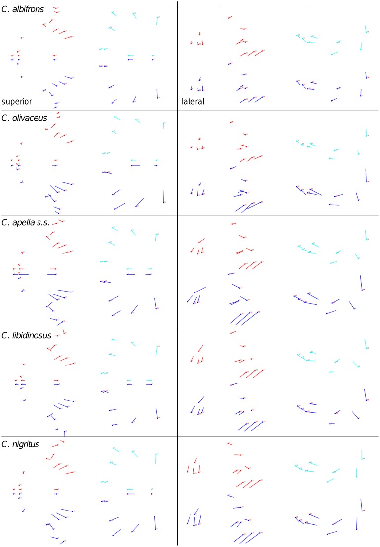 Figure 29