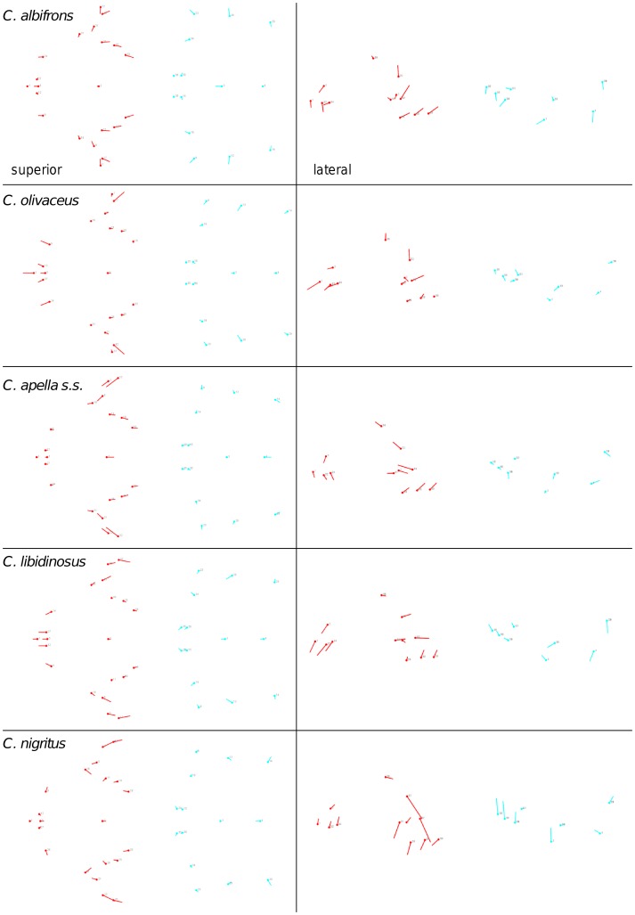 Figure 34