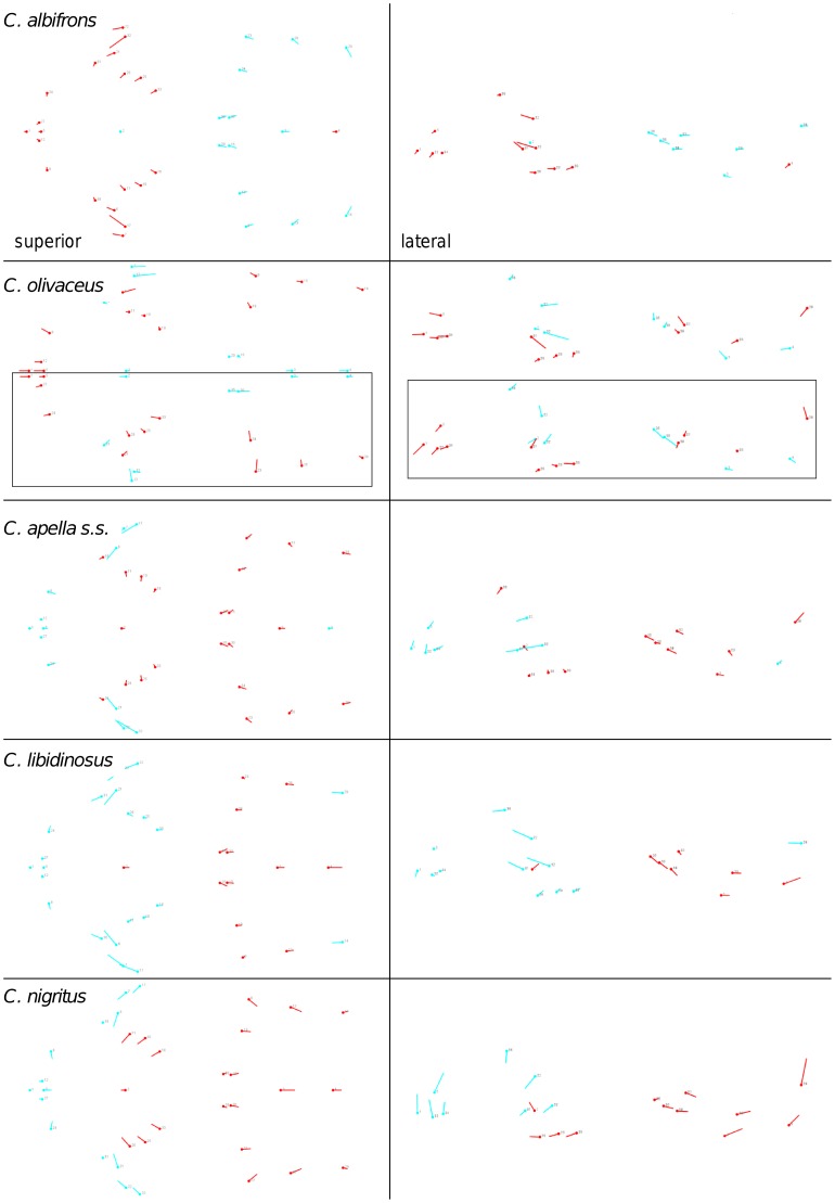 Figure 32