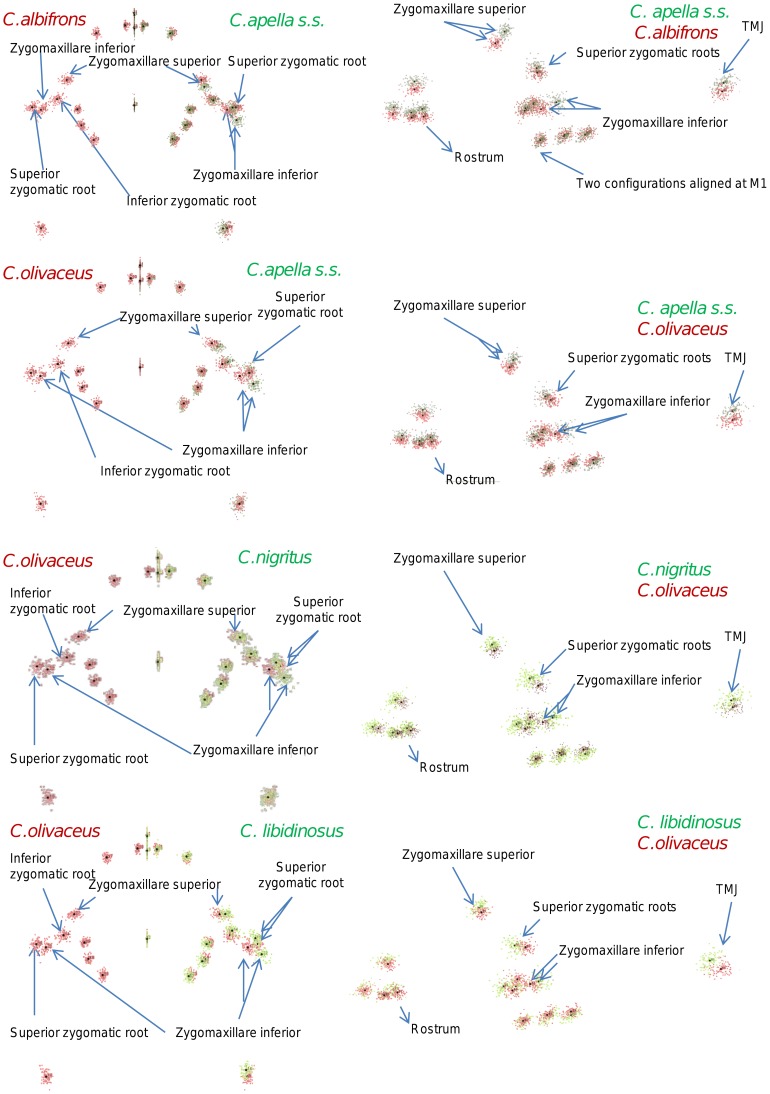 Figure 35