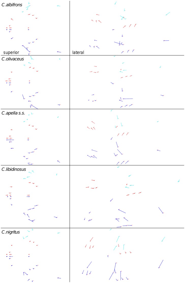 Figure 22