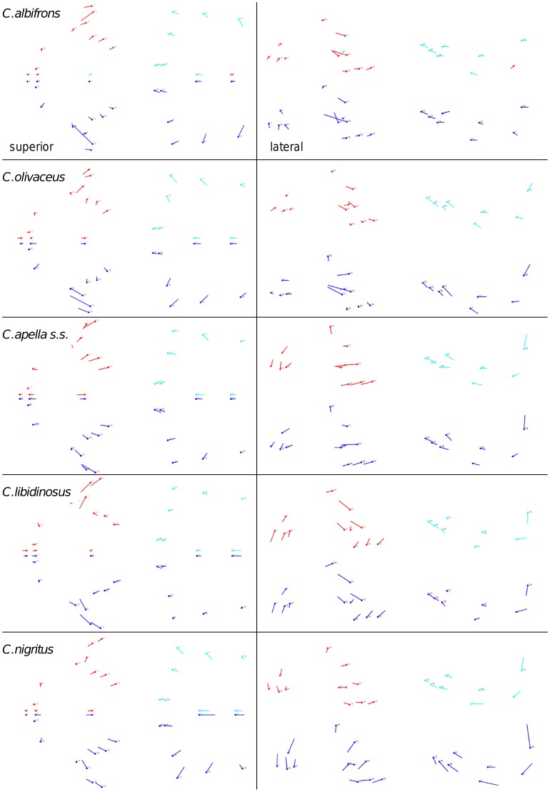 Figure 31