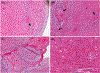 FIGURE 6b