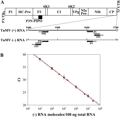 Figure 2.—