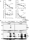 Fig. 11