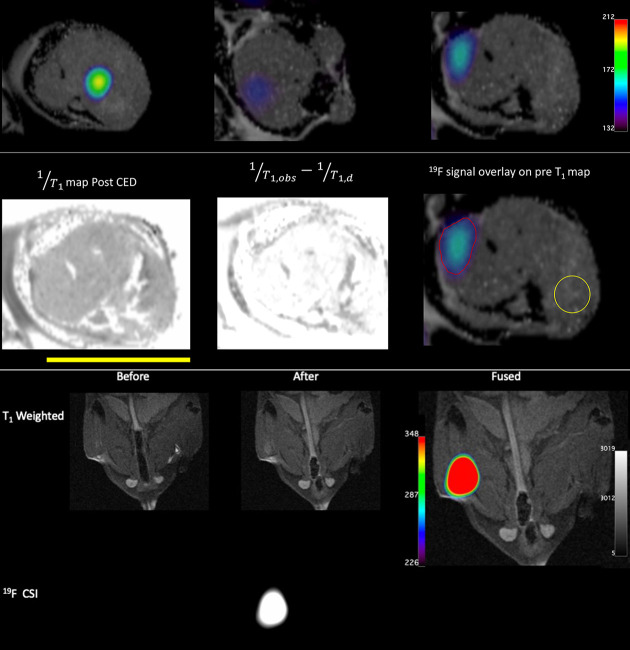 Fig. 4.