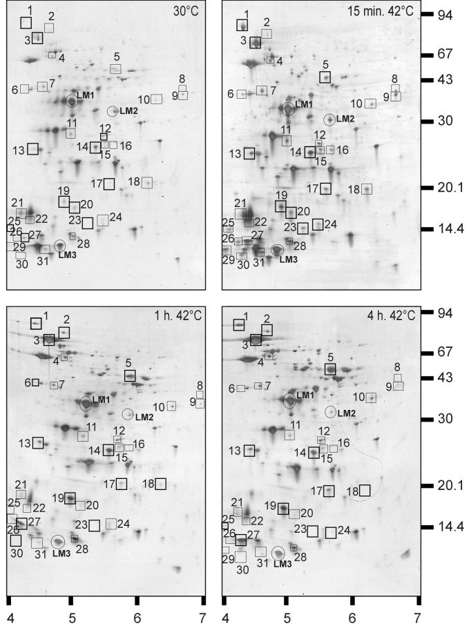 FIG. 3.