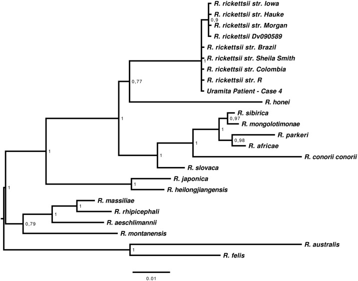 Figure 2.