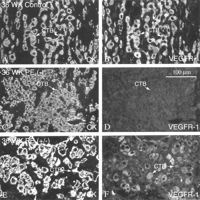 Figure 13.