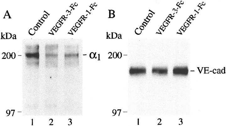 Figure 10.