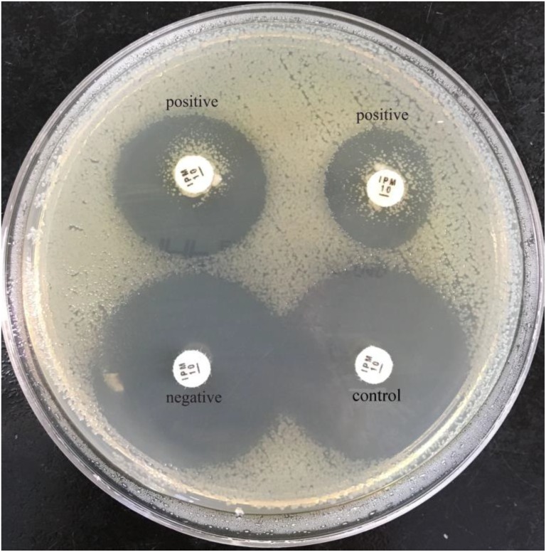 FIGURE 3