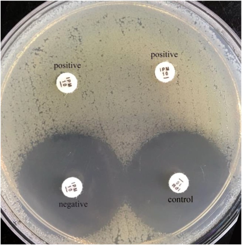 FIGURE 2