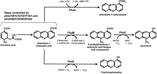 FIG. 4