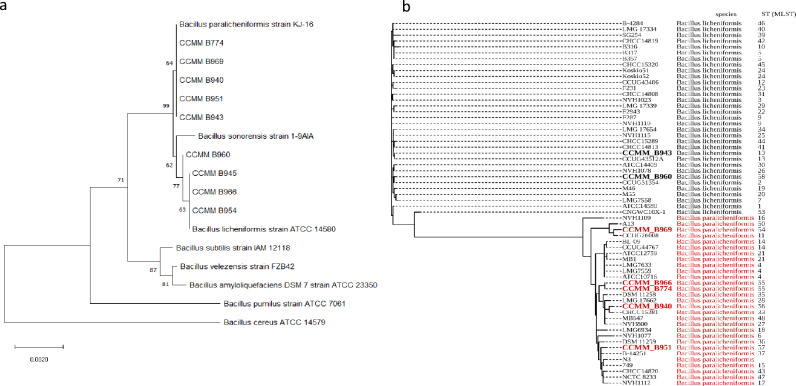 graphic file with name 41598_2023_49724_Fig2_HTML.jpg