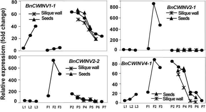 Fig. 10.