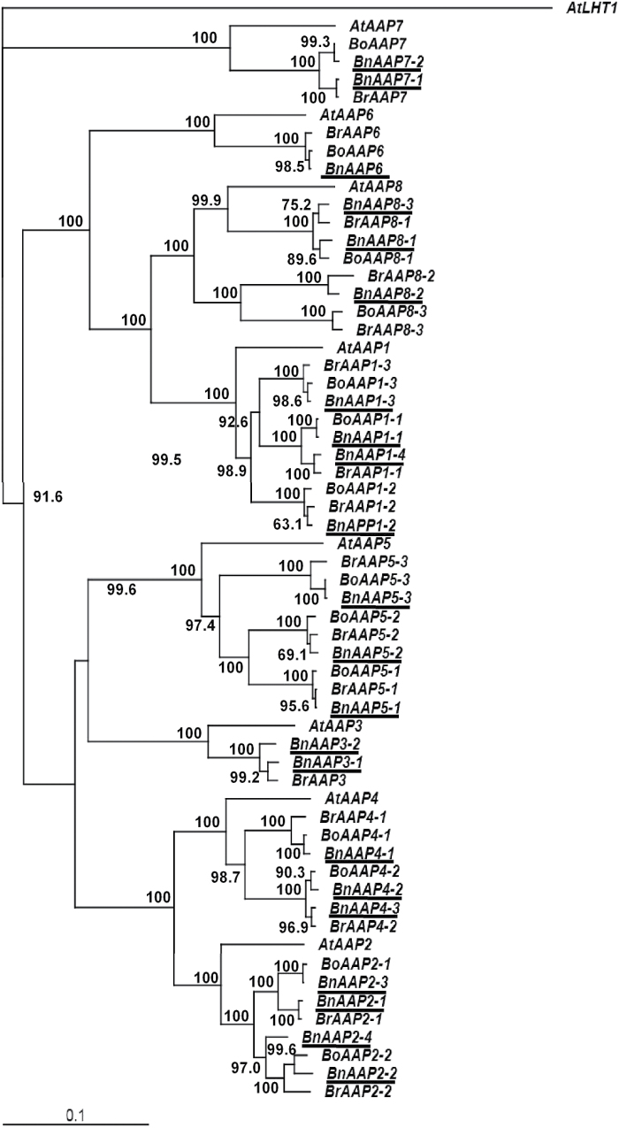 Fig. 6.